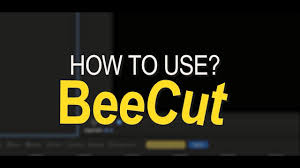 BeeCut 1.7.6.12 Crack Full Version Free Download
