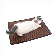 carpet sleeping mat cat placemat