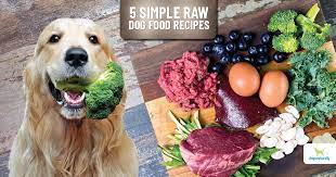 5 easy to make raw dog food recipes