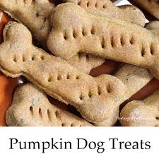 pumpkin dog treats the sugar free diva