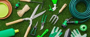 The Essential Gardening Tools Everyone