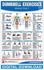digital dumbbell workout chart 1 and 2