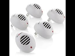 If anything the population of these pests increased. Bell Howell Mini Ultrasonic Pest Repeller 5pack Youtube