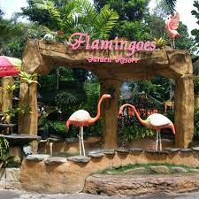 photos at flamingoes garden resort