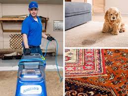 carpet cleaning service serving