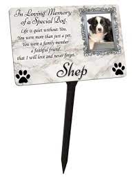 Your Photo Personalised Dog Puppy