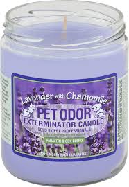 Fight back against pet odor with the refreshing fragrance of cool cucumber & honeydew. Pet Odor Exterminator Lavender Chamomile Deodorizing Candle 13 Oz Jar Chewy Com