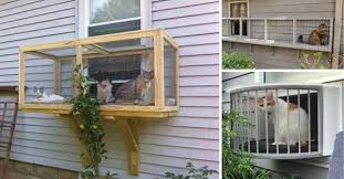 best diy screened cat porches to keep