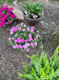 Easy Backyard Container Garden Ideas