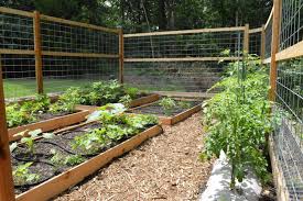 Why I Stopped Using Raised Garden Beds