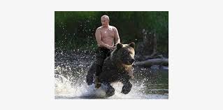 If vladimir putin really could ride a bear it would get a lot more publicity. Thumb Image Putin And A Bear Free Transparent Png Download Pngkey