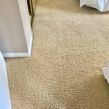 top 10 best carpet steam clean near