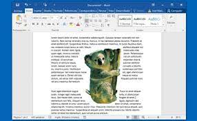 Elimina el fondo de una imagen desde Word y PowerPoint Cómo eliminar el fondo de una imagen en PowerPoint y Word