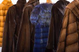 The Top Fur Types In The Industry