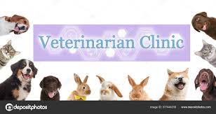 cute pets text veterinarian clinic