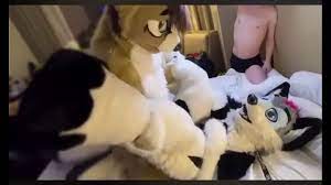 Cute Fursuit bottom moans cutely for top 2 - XVIDEOS.COM