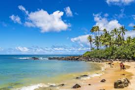 laniakea beach oʻahu hawaiʻi 2024
