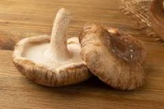 Can you eat mushroom stems?