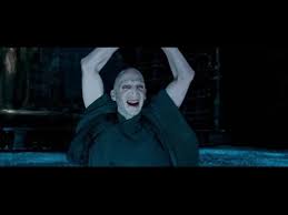 lord voldemort in harry potter s