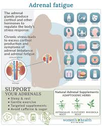 adrenal fatigue symptoms causes and