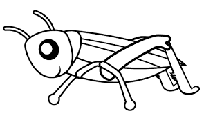 Click the grasshopper coloring pages to view printable version or color it online (compatible with ipad and android tablets). Pretty Cute Grasshopper Coloring Sheet For Little Kids Coloring Pages Animal Coloring Pages Grasshopper