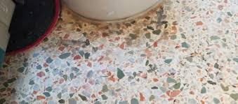 terrazzo cleaning clean zone carpet