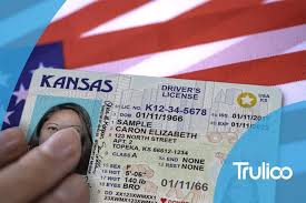 real id s case for a national id