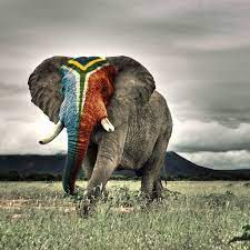 Africa Elephant iPad Wallpaper ...