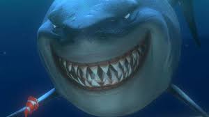 Smiling Lemon Shark Looks Just Like Bruce From 'Finding Nemo' | HuffPost  Weird News
