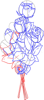 how to draw roses step by step