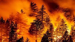 Жертвами лесных пожаров на западе США стали 28 человек | Новости | Известия  | 13.09.2020
