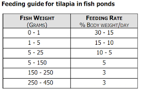 Monosex Tilapia Aquaculture In Bangladesh