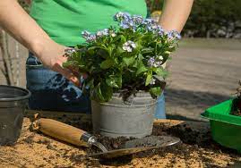 Landscaping Tips In A Dry Climate Like Utah
