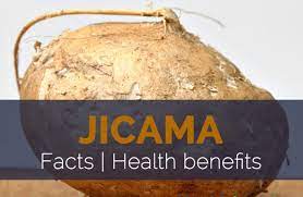 jicama facts health benefits and