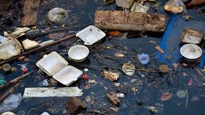 what are the causes of water pollution