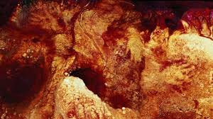 El sorprendente hallazgo de unas pinturas que demuestra que los  neandertales fueron artistas antes que los humanos - BBC News Mundo