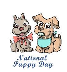 Some days require slightly additional temper spice up. National Puppy Day Us