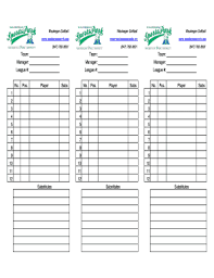 29 Printable Baseball Lineup Sheet Forms And Templates