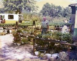 1971 Merrifield Garden Center