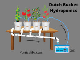 dutch bucket hydroponics building your