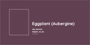 about eggplant aubergine color
