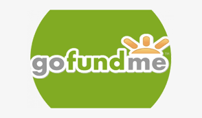 Modern logos have a number of characteristics that make them different from other graphic images. Gofundme Campaign Please Help Go Fund Me Logo Transparent Png 600x400 Free Download On Nicepng