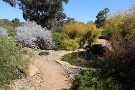 Lewin Garden Australian Native Plants