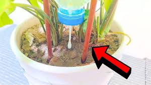 easy diy drip irrigation system made