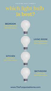 how to choose the best light bulbs for