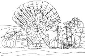 turkey coloring pages free fun