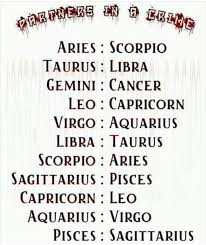Im A Leo And My Brother Is A Capricorn Virgo Aquarius