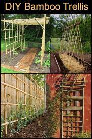 100 Wonderful Diy Bamboo Trellis The