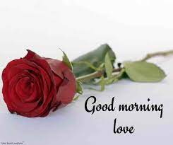 Maybe you would like to learn more about one of these? Romantic Good Morning Messages To My Love Best Collection