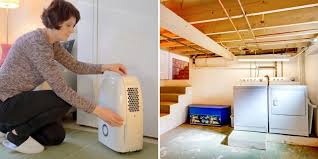 5 best crawlspace dehumidifiers for